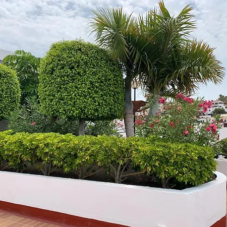 Ocean Breeze And Seaview *