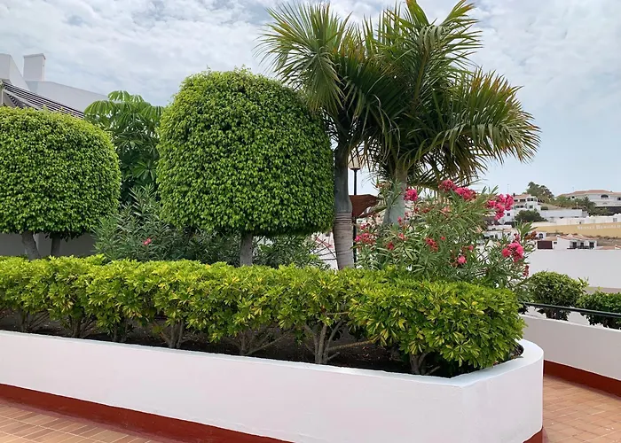 Ocean Breeze And Seaview *